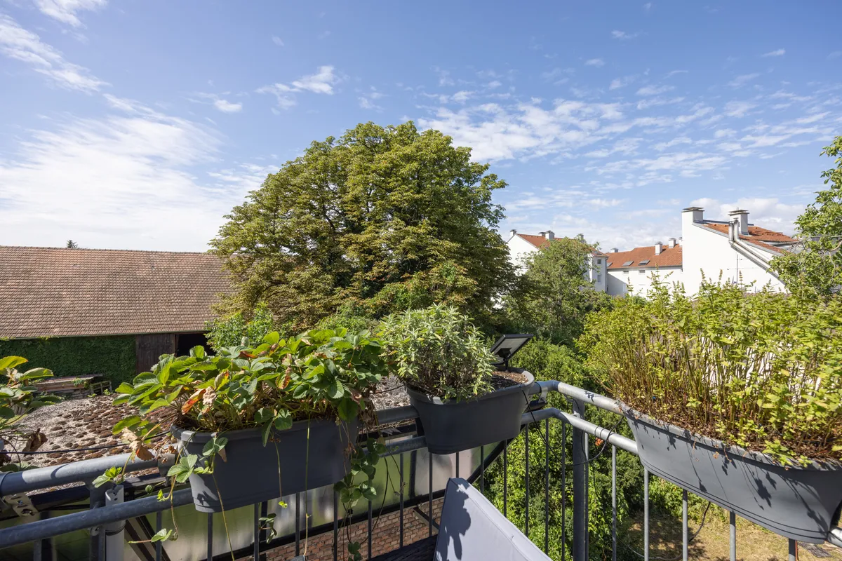 Wohnung – Vösendorf - Ansicht 2