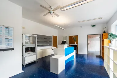4-Zimmer-Wohnung kaufen in Zell am See – 150 m² – Bild 5 von 6