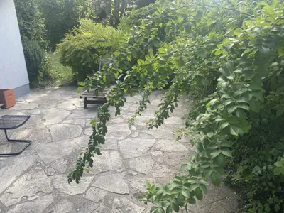 4-Zimmer-Wohnung mieten in Linz Land – 98,5 m², € 1.360 – Bild 17 von 17