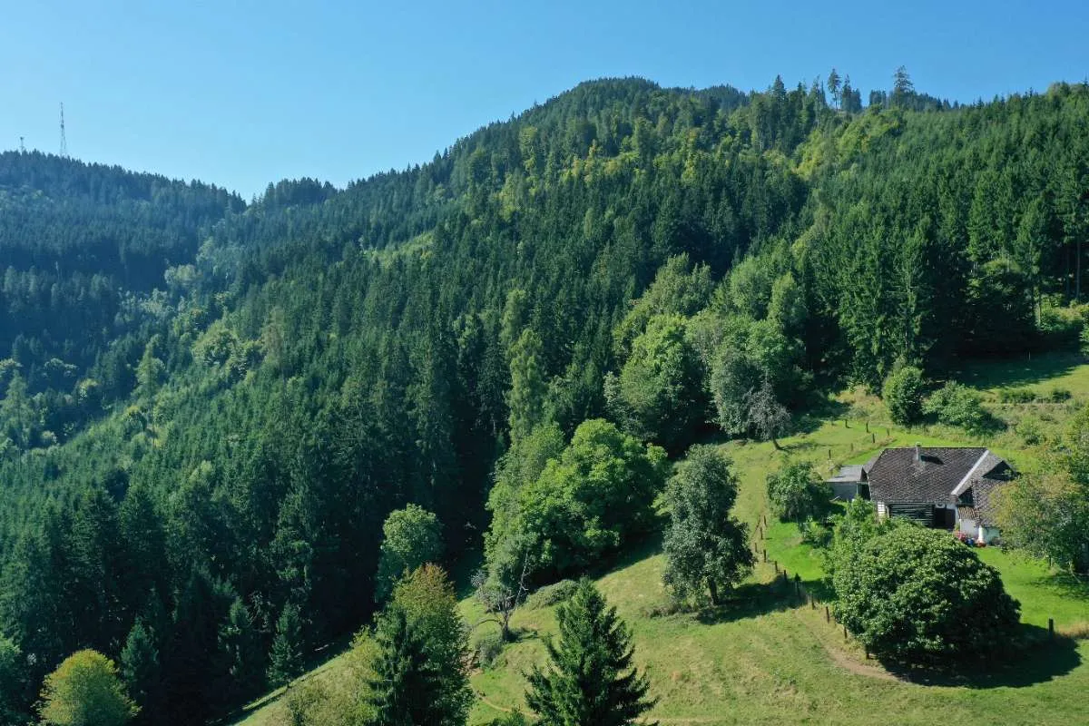 27 ha Wald/Weide Nähe Brückl mit HOFSTELLENWIDMUNG – pohled 2