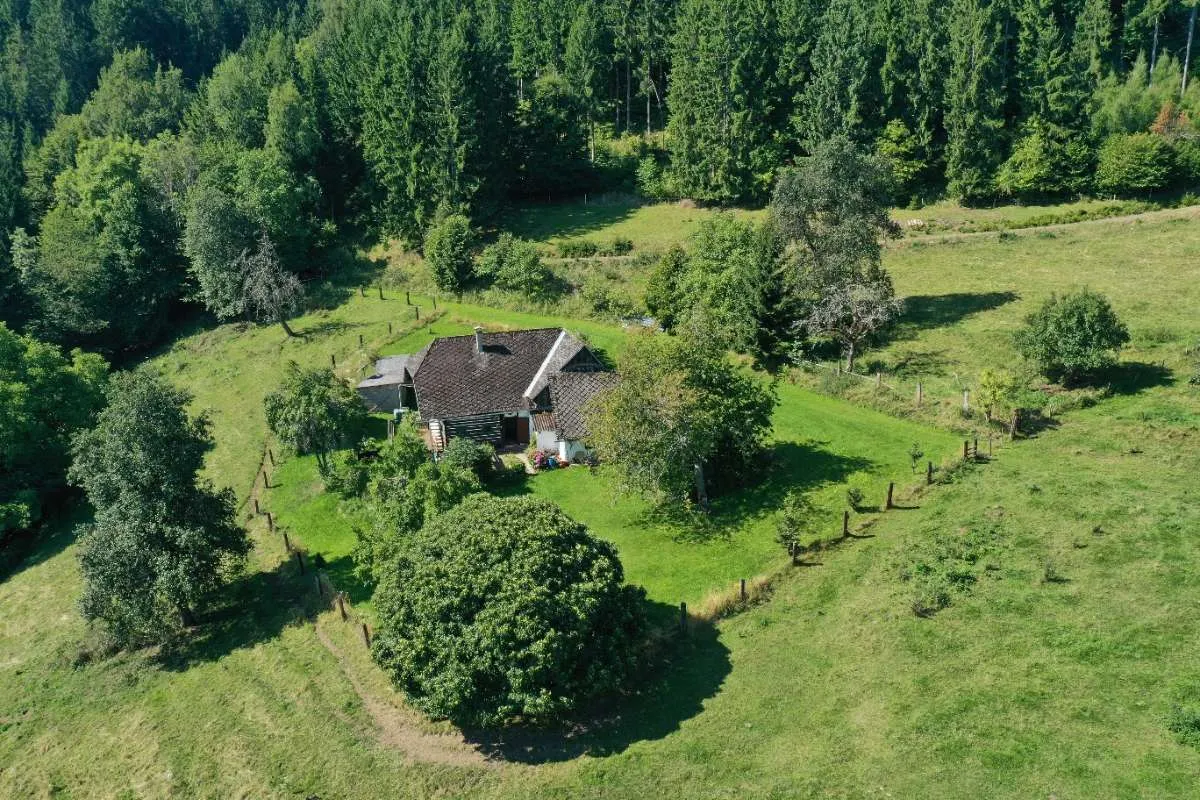 27 ha Wald/Weide Nähe Brückl mit HOFSTELLENWIDMUNG – pohled 3