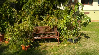 2-Zimmer-Wohnung mieten in Wien – 68 m², € 1.185 – Bild 22 von 22