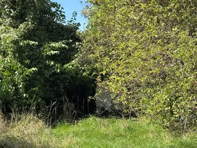 Grundstück kaufen in Gänserndorf – 960 m², € 300.000 – Bild 4 von 5