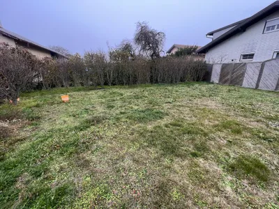 2-Zimmer-Haus kaufen in Wiener Neustadt Land – 75 m², € 309.000 – Bild 2 von 8