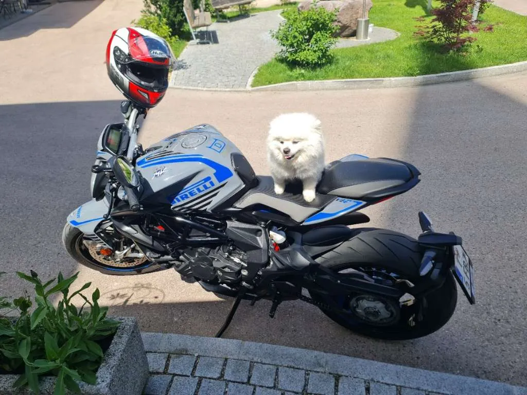 MV Agusta Brutale