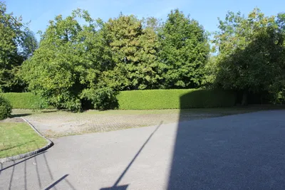 Immobilie mieten in Vöcklabruck – 1 100 m², € 1.500 – Bild 4 von 13