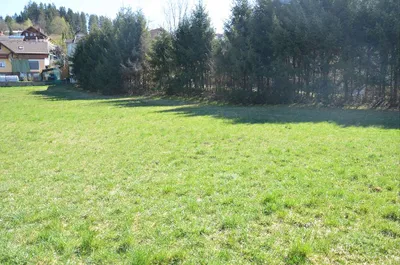 Immobilie mieten in Feldkirchen – 150 m², € 120 – Bild 2 von 24