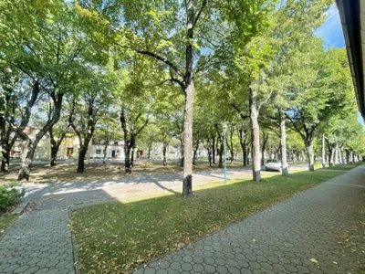 4-Zimmer-Immobilie mieten in Neusiedl am See – 160 m², € 1.350 – Bild 13 von 13