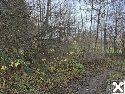 Grundstück kaufen in Braunau am Inn – 9 192 m², € 120.000 – Bild 4 von 4