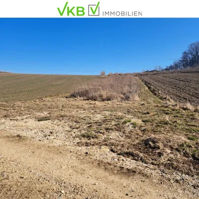 Grundstück kaufen in Ried im Innkreis – 13 975 m², € 461.175 – Bild 4 von 5