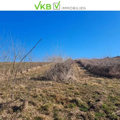 Grundstück kaufen in Ried im Innkreis – 13 975 m², € 461.175 – Bild 2 von 5