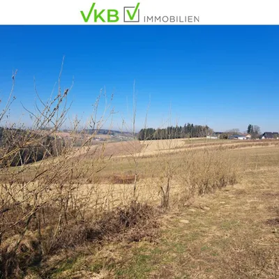 Grundstück kaufen in Ried im Innkreis – 13 975 m², € 461.175 – Bild 3 von 5