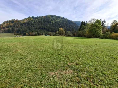 Immobilie kaufen in Feldkirchen – 1 000 m², € 79.000 – Bild 1 von 4