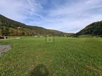 Immobilie kaufen in Feldkirchen – 1 000 m², € 79.000 – Bild 2 von 4