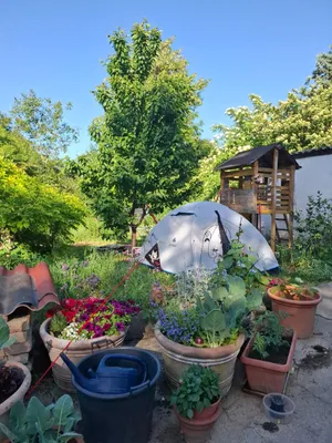 3-Zimmer-Immobilie kaufen in Mistelbach – 54 m², € 95.000 – Bild 17 von 20