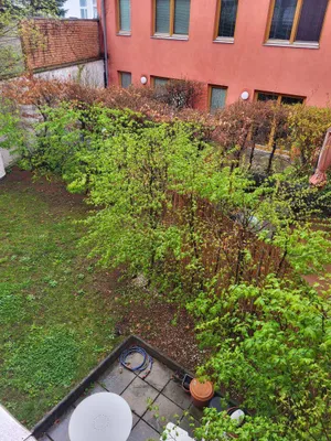 Wohnung in Gersthof – Bild 3