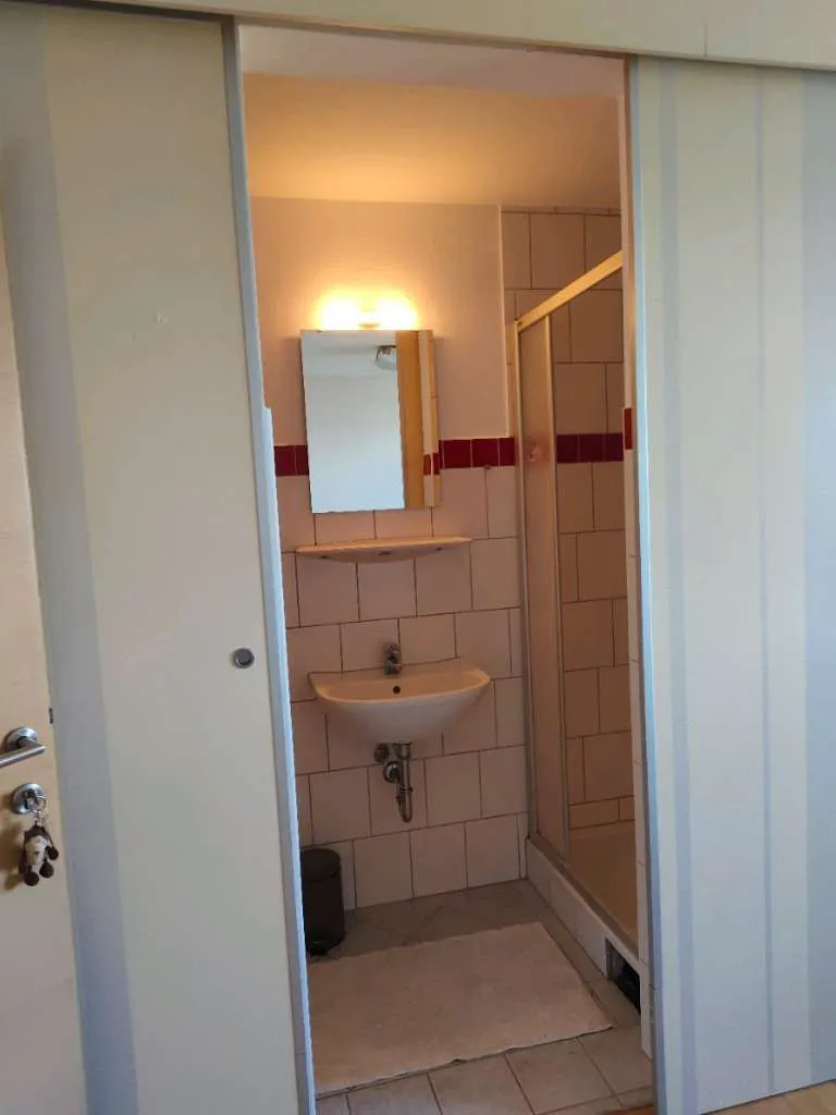 Wohnung – Steyr, Zwischenbrücken, Tabor - Ansicht 2