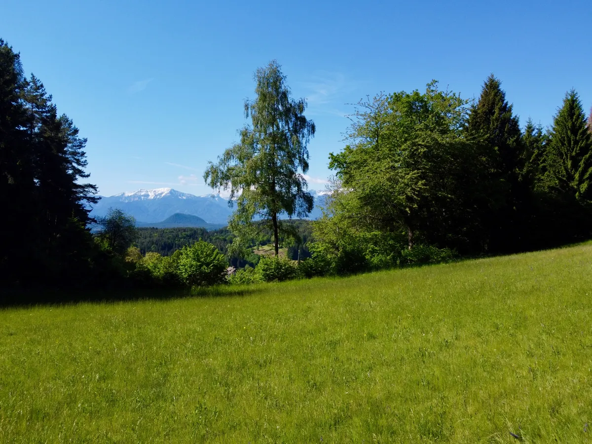 Bauernhaus mit idyllischen Wiesen, Wald und Quelle in Techelsberg am Wörthersee - Ansicht 3