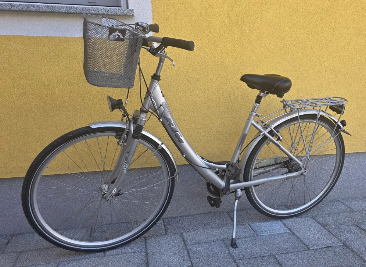 fahrrad laufrad kaufen Banwood Icon salbei Year_2011 Fahrrad XXL Archive - Farbe:grün (grün - schwarz)