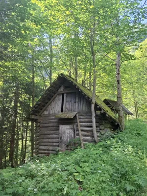 Immobilie kaufen in Bruck-Mürzzuschlag – 132 594 m² – Bild 5 von 7