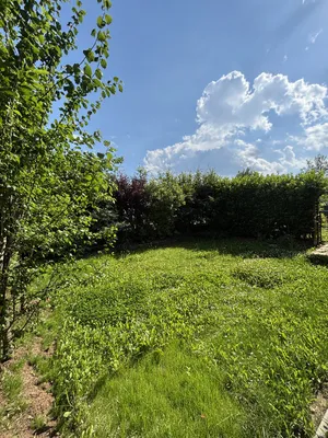 3-Zimmer-Wohnung mieten in Graz-Umgebung – 75,4 m², € 1.126 – Bild 13 von 22