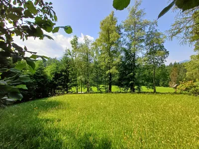 Grundstück mieten in Salzburg-Umgebung – 700 m², € 6.500 – Bild 2 von 9