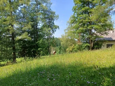 Grundstück mieten in Salzburg-Umgebung – 700 m², € 6.500 – Bild 7 von 9