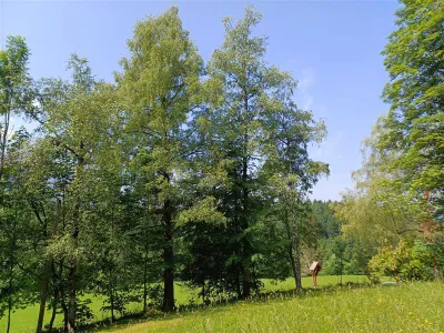 Grundstück mieten in Salzburg-Umgebung – 700 m², € 6.500 – Bild 9 von 9