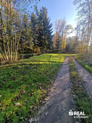 Haus kaufen in Ried im Innkreis – 132 m², € 299.000 – Bild 4 von 7