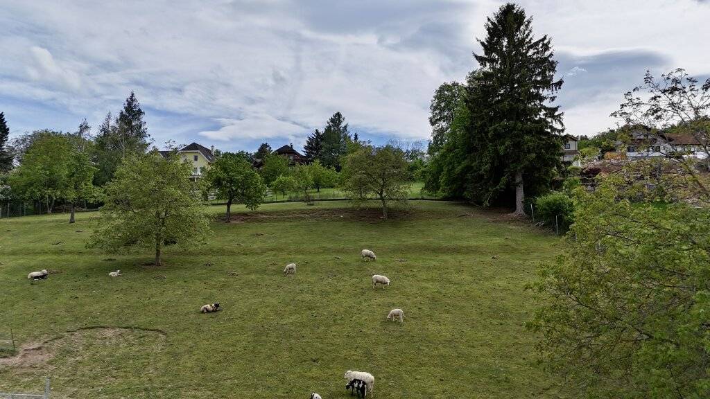 Ruhe, Natur & Weitblick - Exklusives Grundstück in begehrter Wohnlage - Ansicht 2