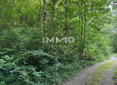 Grundstück kaufen in Sankt Pölten Land – 3 409 m², € 530.000 – Bild 4 von 9