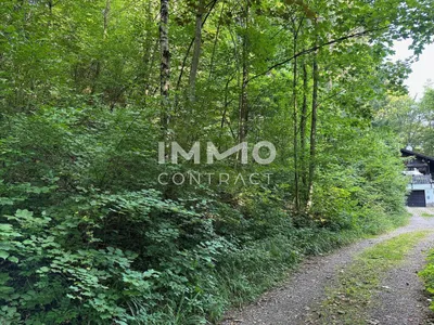 Grundstück kaufen in Sankt Pölten Land – 3 409 m², € 530.000 – Bild 6 von 9
