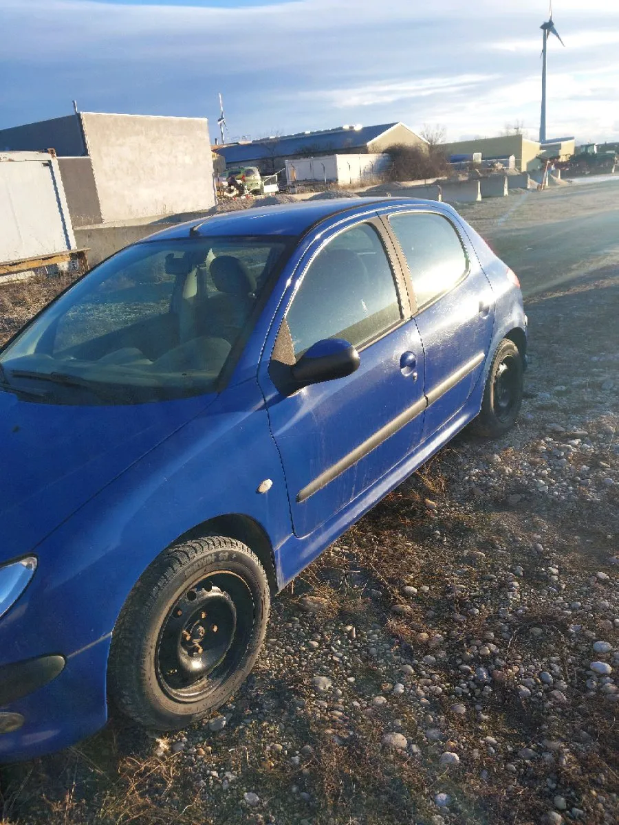 Peugeot 206 2004 photo 2