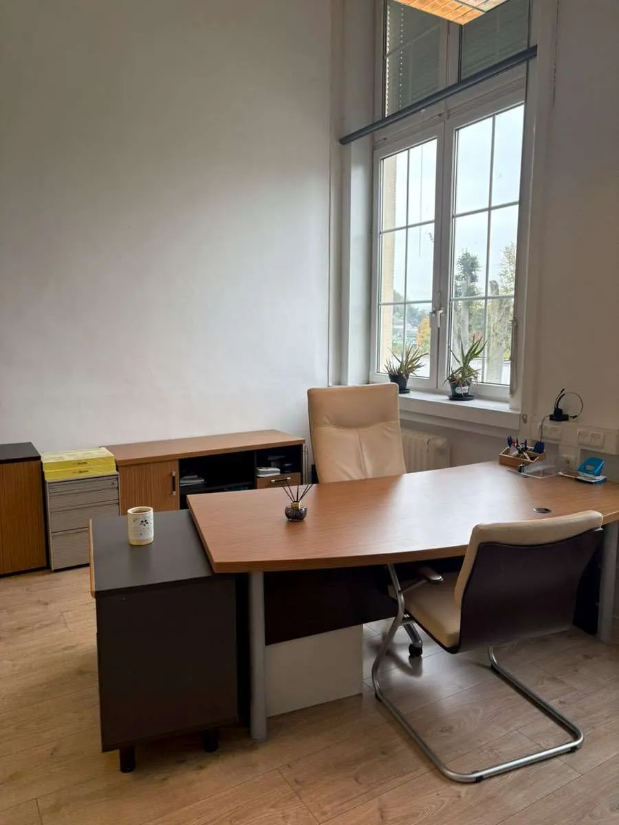 Büro / Ordination / Atelier / Kosmetikstudio im repräsentativen Palais Werndl zu vermieten - Ansicht 2