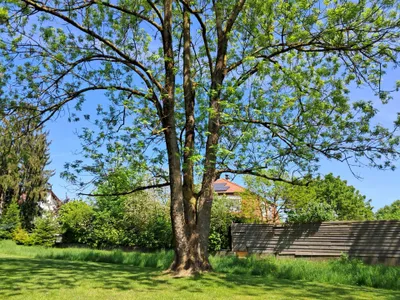 2-Zimmer-Wohnung mieten in Sankt Pölten – 54,67 m², € 763 – Bild 9 von 9