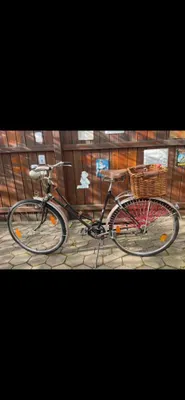 mountainbike unter 11 kg Fiido M1 Pro Fatbike E-Bike Henna Paste:100gramm Fahrrad 18 Zoll mit Rücktrittbremse und Felgenbremse NEU ABUS Purl-Y Ace