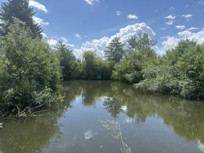Grundstück kaufen in Wels – 1 793 m², € 115.000 – Bild 4 von 8