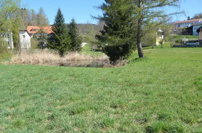 Immobilie mieten in Feldkirchen – 150 m², € 130 – Bild 4 von 23