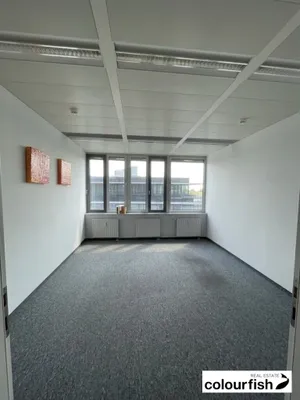 Gewerbeimmobilie mieten in Wien – 252 m², € 5.443 – Bild 4 von 8