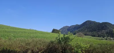 8-Zimmer-Haus kaufen in Liezen – 230 m², € 2.250.000 – Bild 5 von 8