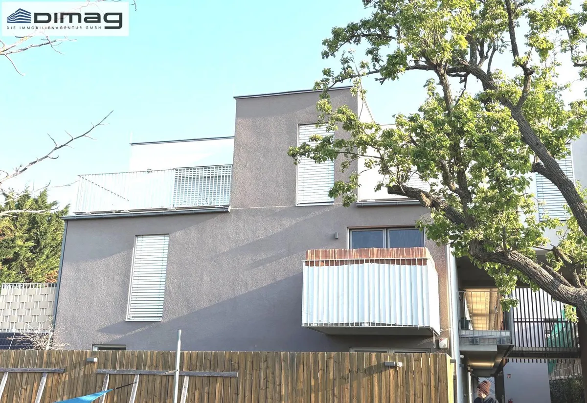 Bild 1 von 21 - Breitenlee Ansicht Hofseite