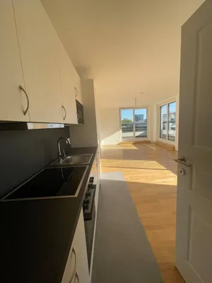 Wohnung zur Miete in 1020 Wien