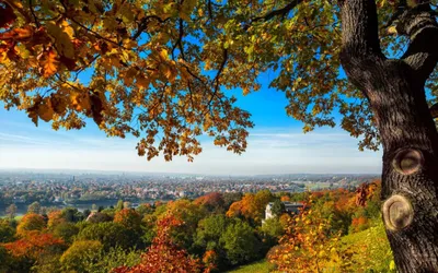 4-Zimmer-Wohnung mieten in Wolfsberg – 95,95 m², € 704 – Bild 1 von 14