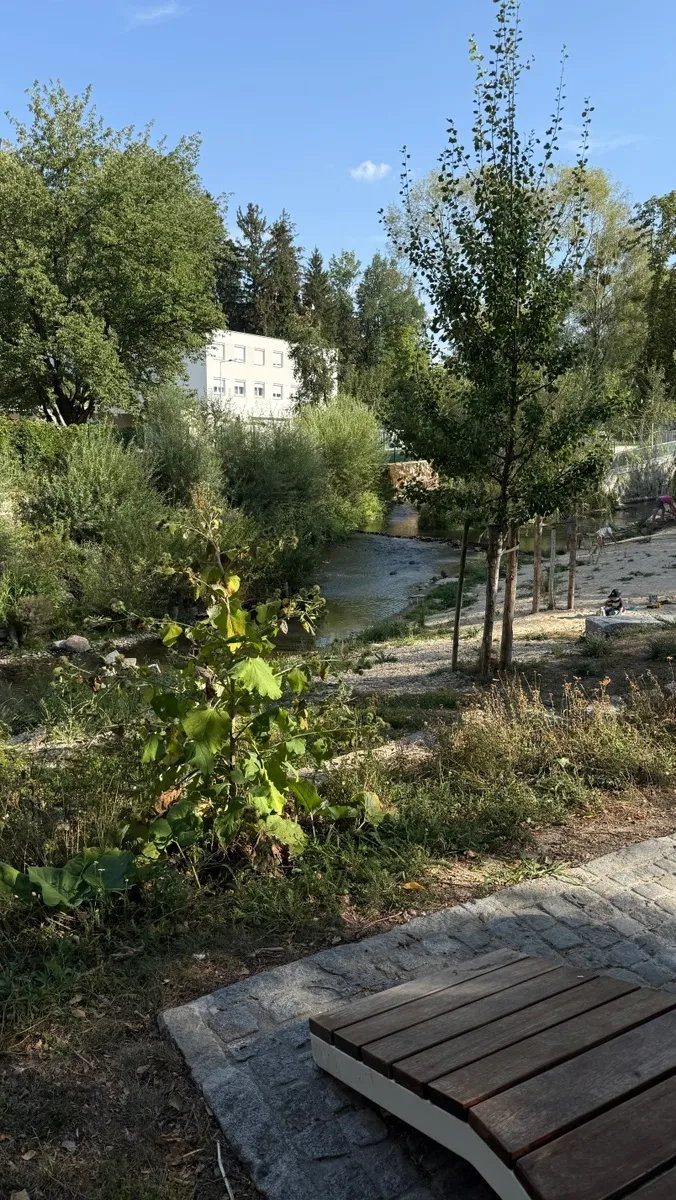 Wohnung – Ried im Innkreis, Bezirk Ried - Ansicht 3