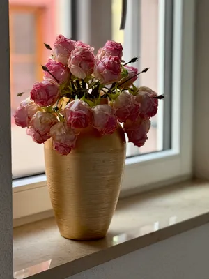 Wohnung mieten in Salzburg-Umgebung – 18 m², € 1.090 – Bild 16 von 16