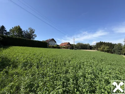 Grundstück kaufen in Wels-Land – 2 636 m², € 487.660 – Bild 3 von 9