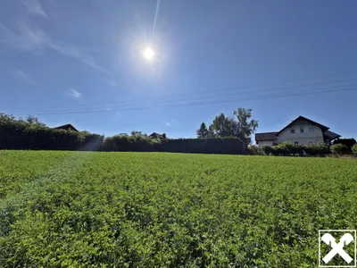 Grundstück kaufen in Wels-Land – 2 636 m², € 487.660 – Bild 7 von 9