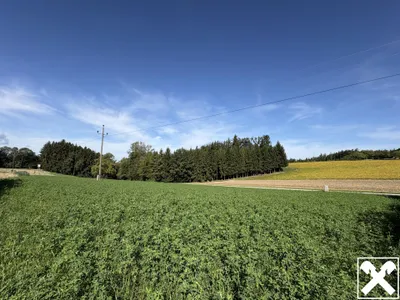 Grundstück kaufen in Wels-Land – 2 636 m², € 487.660 – Bild 2 von 9