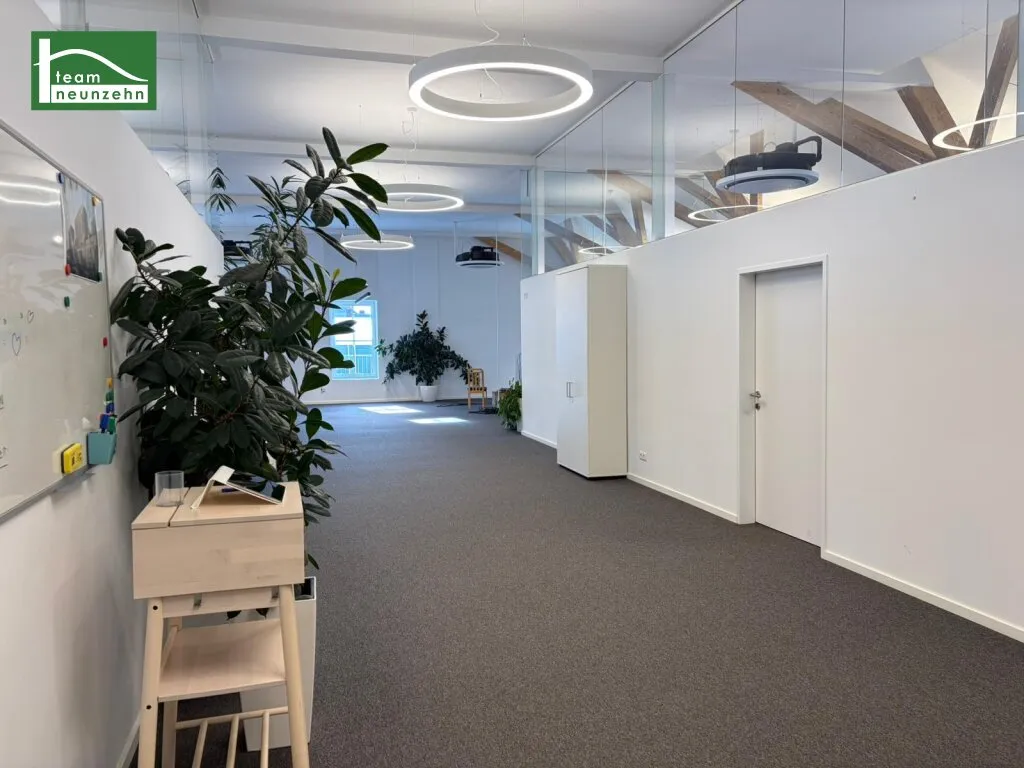 2 MONATE HAUPTMIETZINSFREI: Ihr neuer Standort in Graz: 331 m² | Top-Anbindung | Modern saniert - Ansicht 3