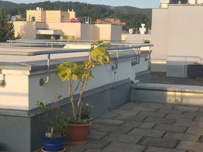 1-Zimmer-Wohnung mieten in Graz – 32 m², € 550 – Bild 8 von 11